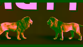 Mutti Pomodoro Mutti Deceptively simple Ad Commercial Brand Imagery Photoshoot 2