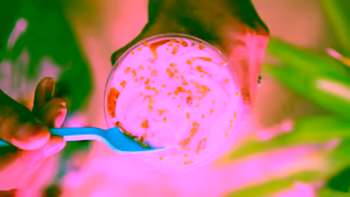 Wendy's Video Ad Ad Commercial Brand Imagery Photoshoot 1