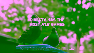 DIRECTV DIRECTV For The Birds Flyover 15 Ad Commercial Brand Imagery Photoshoot 2