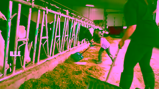 Dairy Farmers of Canada Choisissez les produits laitiers dici Ad Commercial Brand Imagery Photoshoot 2