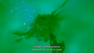 Dell Turning tourist photos into data insights Ad Commercial Brand Imagery Photoshoot 2