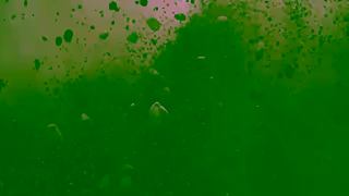 Subaru 2024 Subaru Outback Enjoy All Worlds Commercial Ad Commercial Brand Imagery Photoshoot 0