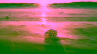 Riddle's Jewelry Explore Natural Diamonds Ad Commercial Brand Imagery Photoshoot 0