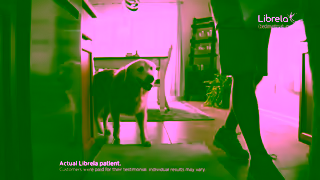 Zoetis A Librela bedinvetmab injection Story Taffy An Actual Librela Patient Ad Commercial Brand Imagery Photoshoot 0