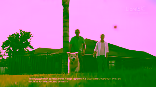 Zoetis A Librela bedinvetmab injection Story Taffy An Actual Librela Patient Ad Commercial Brand Imagery Photoshoot 2