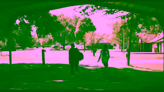 Cineplex Pictures FANCY DANCE Now Playing In Theatres Cineplex Pictures Ad Commercial Brand Imagery Photoshoot 2