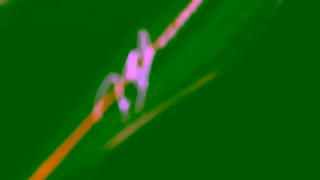 Blenders Eyewear Be Seen Be Loud Blenders Ad Commercial Brand Imagery Photoshoot 1