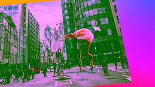 Adobe Everyone Can Go Big Adobe Photoshop Ad Commercial Brand Imagery Photoshoot 0