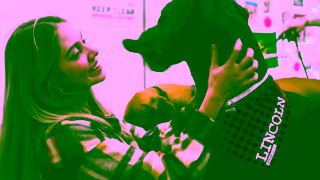 The Dog Lovers Festival Sydney Dog Lovers Festival 2024 Preview Video Ad Commercial Brand Imagery Photoshoot 0