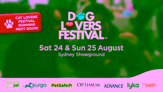 The Dog Lovers Festival Sydney Dog Lovers Festival 2024 Preview Video Ad Commercial Brand Imagery Photoshoot 2