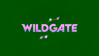 Wildgate Wildgate Play the Open Beta June 916 enUS 15s Ad Commercial Brand Imagery Photoshoot 2