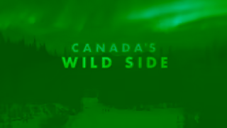 Travel Alberta TA Skypainter Skiing15 16x9 TrueView Ad Commercial Brand Imagery Photoshoot 2