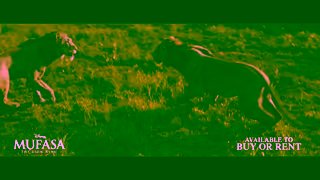 Disney Mufasa The Lion King Available to Buy or Rent Disney UK Ad Commercial Brand Imagery Photoshoot 1