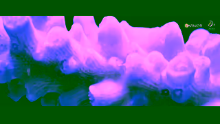 Garnier Garnier x Great Barrier Reef Foundation 6F Ad Commercial Brand Imagery Photoshoot 1