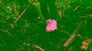 STEEL BLUE Boots Southern Cross Zip Scuff Ladies Amy Underwood Ad Commercial Brand Imagery Photoshoot 2