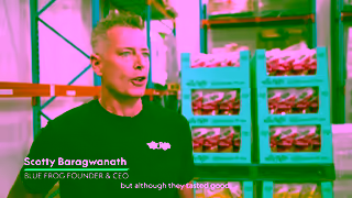 KiwiBank Blue Frog Kiwibank Business for Better Ad Commercial Brand Imagery Photoshoot 0