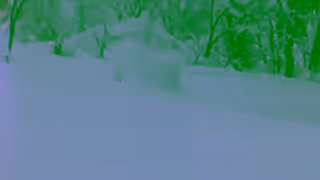 VOLCOM 2425 Arthur Longo Collection Ad Commercial Brand Imagery Photoshoot 1