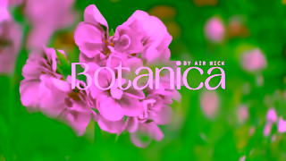 AirWick Botanica x WWF Together for Nature Regeneration Ad Commercial Brand Imagery Photoshoot 0