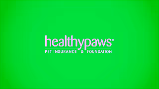 Healthy Paws Insurance Healthy Paws Pet Insurance What You and Your Pets Need Ad Commercial Brand Imagery Photoshoot 1