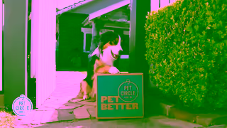 PetCircle Kennels 30 second Ad Commercial Brand Imagery Photoshoot 2