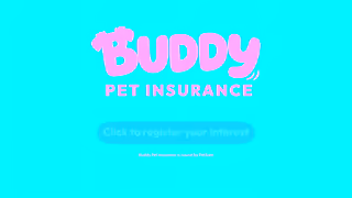 Buddy Pet Insurance Buddy Pet Insurance Tiktok 15s Ad Commercial Brand Imagery Photoshoot 2