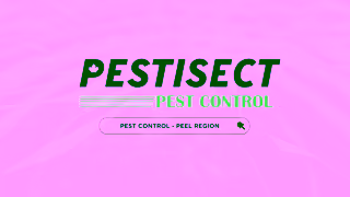 Consumer Choice Award Pestisect Pest Control Consumer Choice Award 2024 Ad Commercial Brand Imagery Photoshoot 0