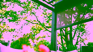 PERGOLUX Pergolux We Make Outdoor Dream Possible Ad Commercial Brand Imagery Photoshoot 0