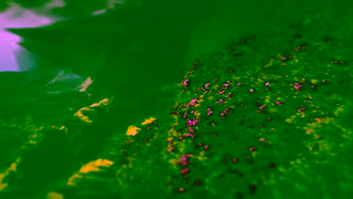 Canon Create Exceptional Prints with the Canon imagePROGRAF PRO1000 Ad Commercial Brand Imagery Photoshoot 0