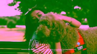 Everyday Insurance Make your pet insurance more rewarding with 10 off an instore Woolworths shop every month Ad Commercial Brand Imagery Photoshoot 2