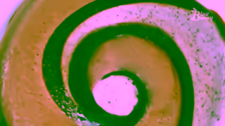 Blue Bunny iScream Twisting up flavors of fun Ad Commercial Brand Imagery Photoshoot 0