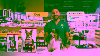 PetBarn Petbreak Hills Science diet Ad Commercial Brand Imagery Photoshoot 0