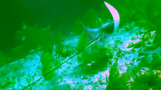 Visit Curacao Get lost in my beauty Curaao Ad Commercial Brand Imagery Photoshoot 1