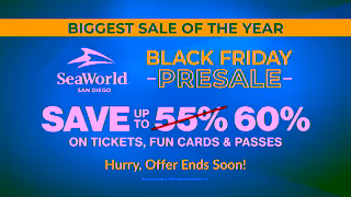 SeaWorld San Diego SWC24ChristmasCelebrationWondersMeetJoyBlackFridayPreSaleMULTISvUpTo60UrgencyYT15ENG Ad Commercial Brand Imagery Photoshoot 2