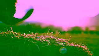 Travel Oregon Try Something Oregon Plaisance Ranch Ad Commercial Brand Imagery Photoshoot 1