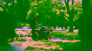 Claritin 2024 USA Claritin D DogWalk Non Cinematic ENG OLV 15s V1 Ad Commercial Brand Imagery Photoshoot 1