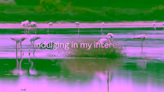 Saga Holidays Hosted Cyprus Holidays By Saga Ad Commercial Brand Imagery Photoshoot 0