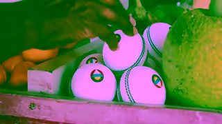 Visit Antigua and Barbuda Be Here for Cricket and Eat Like a Local Ad Commercial Brand Imagery Photoshoot 0