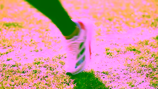 Rebel Sport rebel x Lifeline x adidas 2024 Collection Ad Commercial Brand Imagery Photoshoot 2