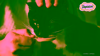 Temptations Temptations Creamy Spoons Valentines Ad Commercial Brand Imagery Photoshoot 1