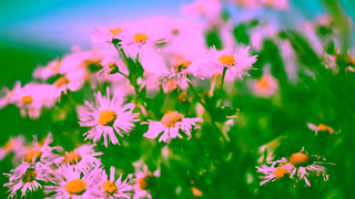 Discover Vail Spontaneity A Vail Moment Ad Commercial Brand Imagery Photoshoot 0