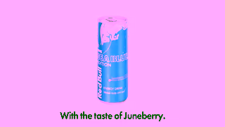 Red Bull Vaulting Into Your Best Self Ad Commercial Brand Imagery Photoshoot 2