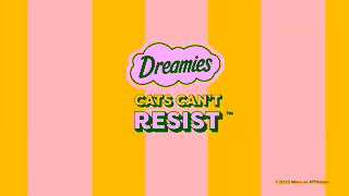 Dreamies Treats Dreamies Cats Cant Resist Ad Commercial Brand Imagery Photoshoot 2