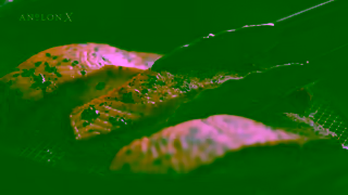 Anolon Cookware AnolonX Engineered for Flavor Ad Commercial Brand Imagery Photoshoot 0