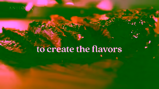 Anolon Cookware AnolonX Engineered for Flavor Ad Commercial Brand Imagery Photoshoot 2