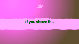 Dove Lasting underarm freshness and underarm skin repair With Dove Antiperspirant you can Ad Commercial Brand Imagery Photoshoot 0