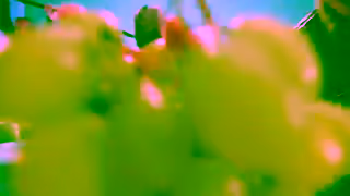 Innocent Drinks innocent plus juice Ad Commercial Brand Imagery Photoshoot 1