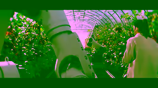 Cathay Pacific Shipping a world of possibility WE KNOW HOW Ad Commercial Brand Imagery Photoshoot 0