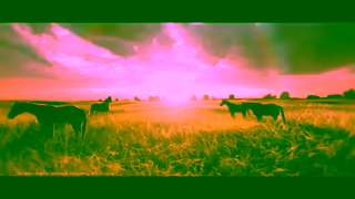 Cathay Pacific Shipping a world of possibility WE KNOW HOW Ad Commercial Brand Imagery Photoshoot 1