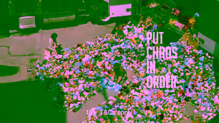 PAPAYA.com PAPAYA SOLITAIRE PUT CHAOS IN ORDER Ad Commercial Brand Imagery Photoshoot 1