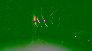 Bedsure Home Bedsure Vegan Faux Fur Blanket Ad Commercial Brand Imagery Photoshoot 0